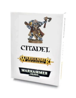 Space Wolves Rune Priest